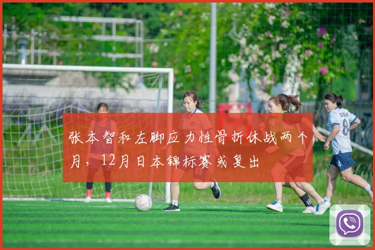 张本智和左脚应力性骨折休战两个月，12月日本锦标赛或复出